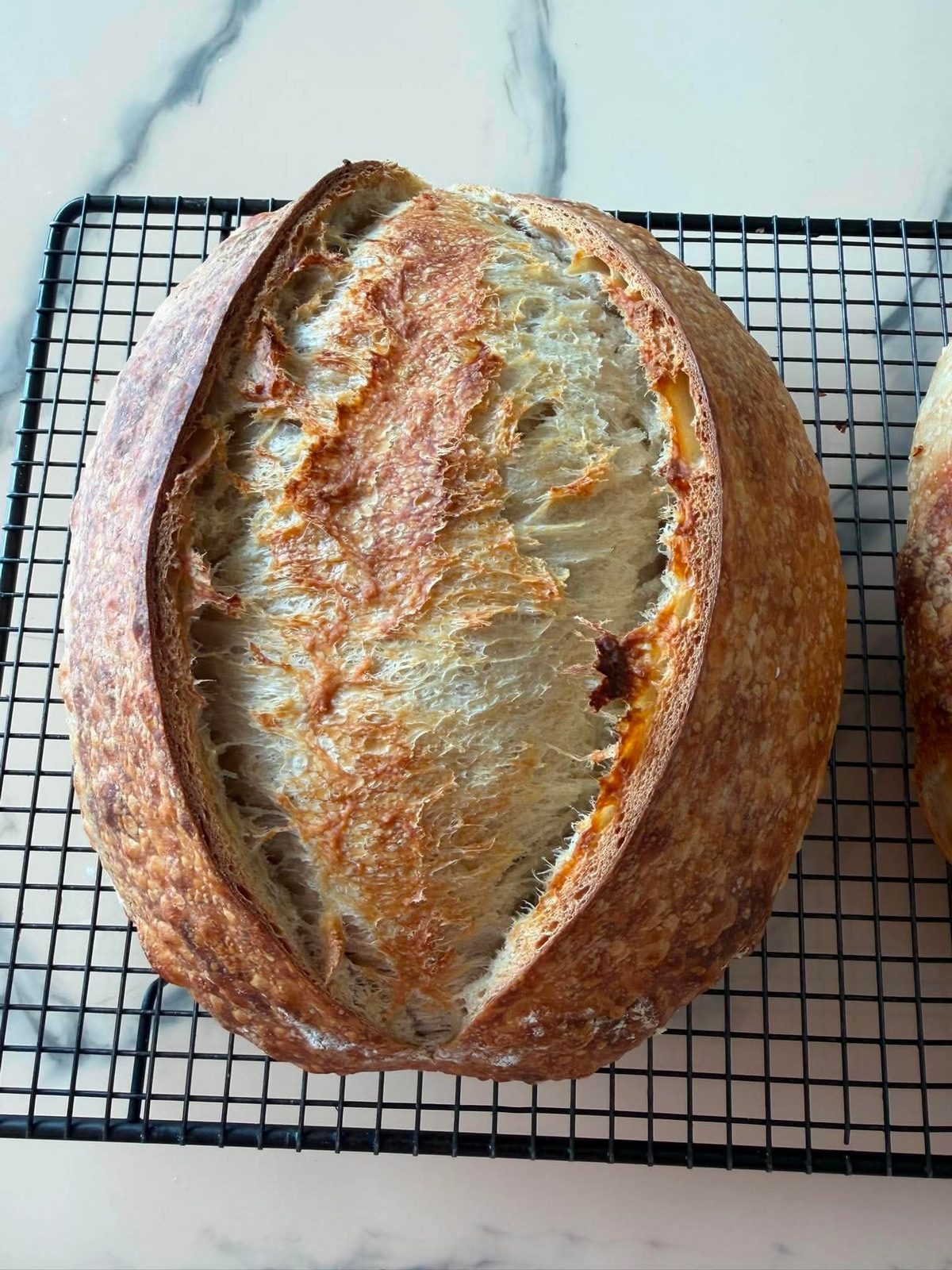 Jalapeño Cheddar Sourdough
